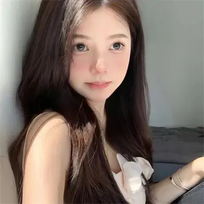 神探默多克第七季